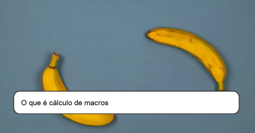 O que é cálculo de macros