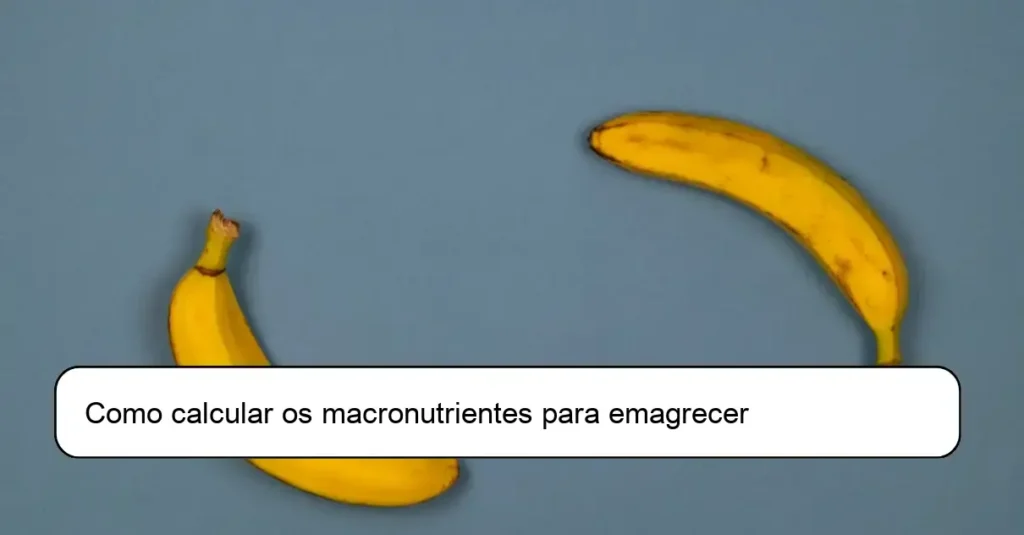 Como calcular os macronutrientes para emagrecer