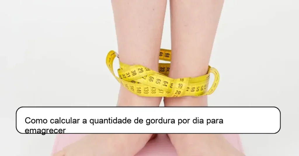 Como calcular a quantidade de gordura por dia para emagrecer