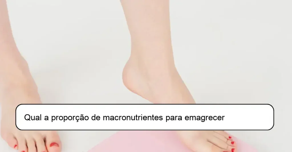 Qual a proporção de macronutrientes para emagrecer